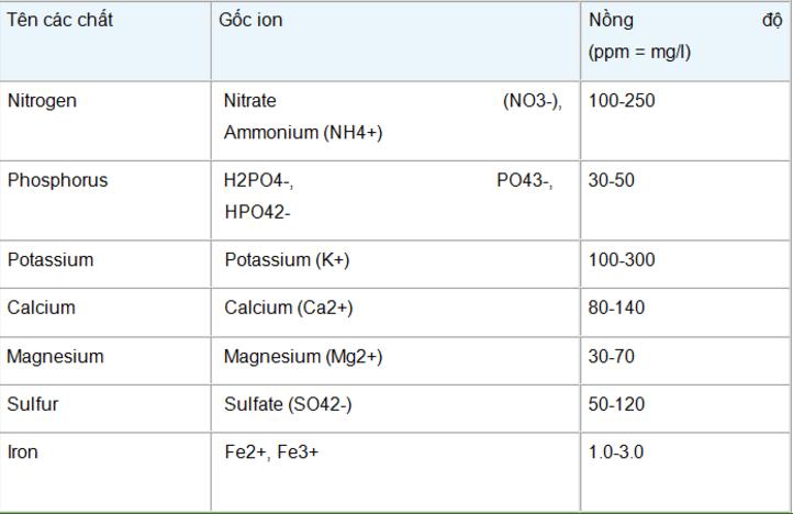 Kiểm Soát pH, EC, TDS Trong Dung Dịch Thủy Canh