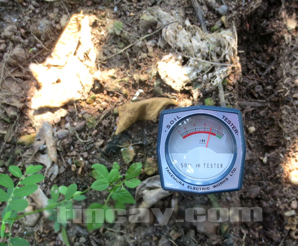 Máy đo pH đất DM13 - Hãng Takemura