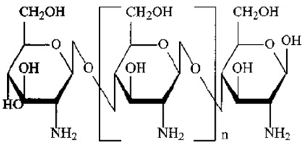 cấu trúc hóa học của chitosan