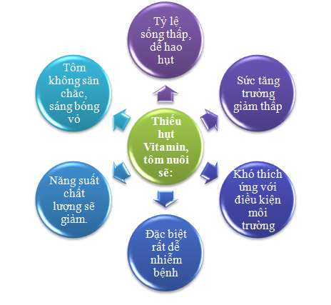 Tầm quan trọng của Vitamin trong nuôi tôm