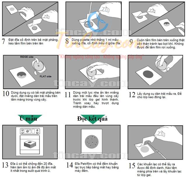Phát hiện và định lượng vi khuẩn bằng đĩa petrifilm 5 p5 1