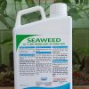 Thuốc Diệt Ngoại Kí Sinh Cho Tôm Anova Seaweed